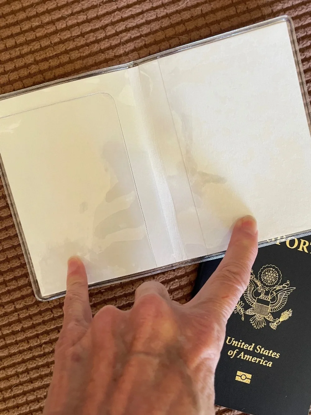 Beautiful Origami Paper and Metal Dragonfly Passport Holder